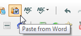paste from word